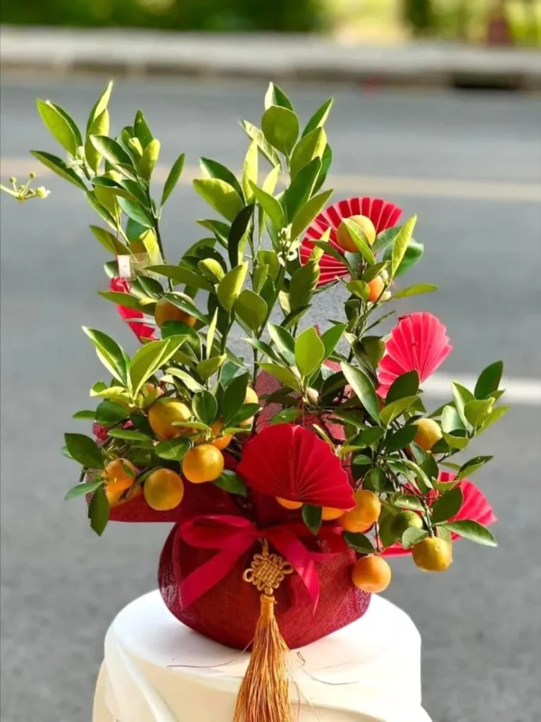 Cây Hạnh