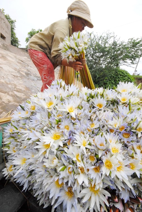 cây súng ma - Image 4