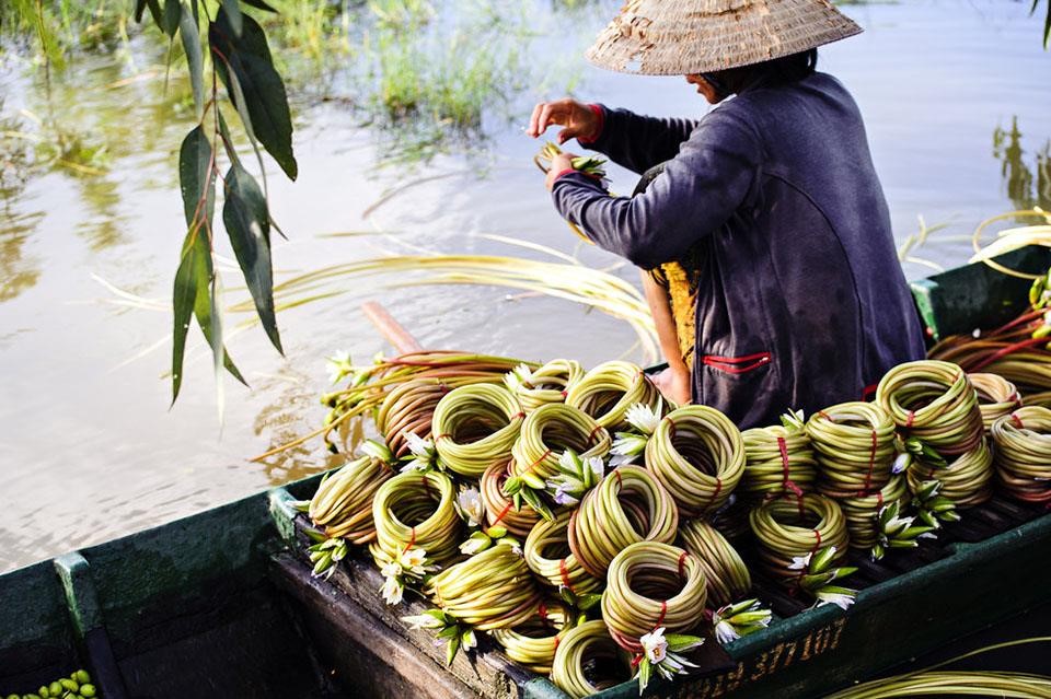 cây súng ma - Image 5