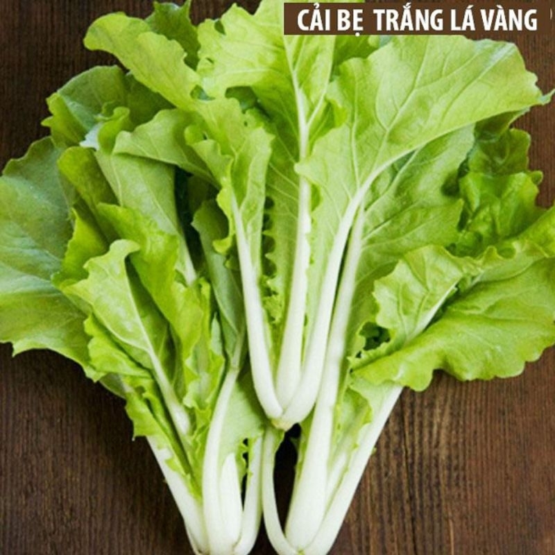 cây cải bẹ trắng - Image 4