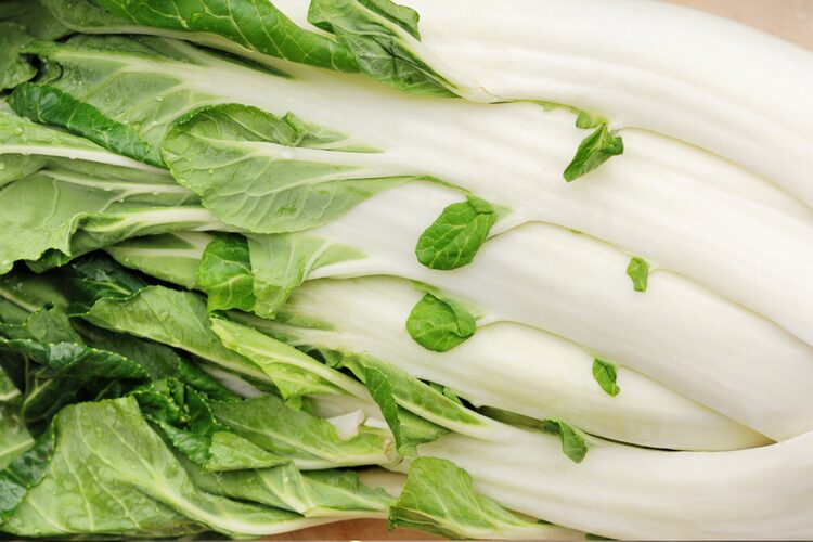 cây cải bẹ trắng