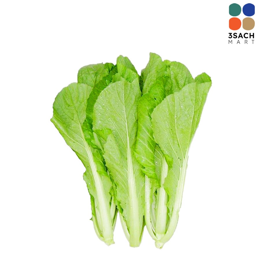 cây cải bẹ xanh - Image 2