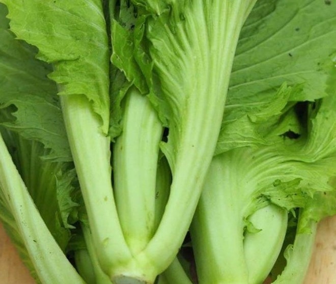 cây cải bẹ xanh - Image 4