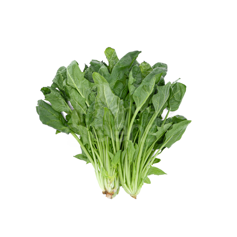 cây cải bó xôi - Image 4