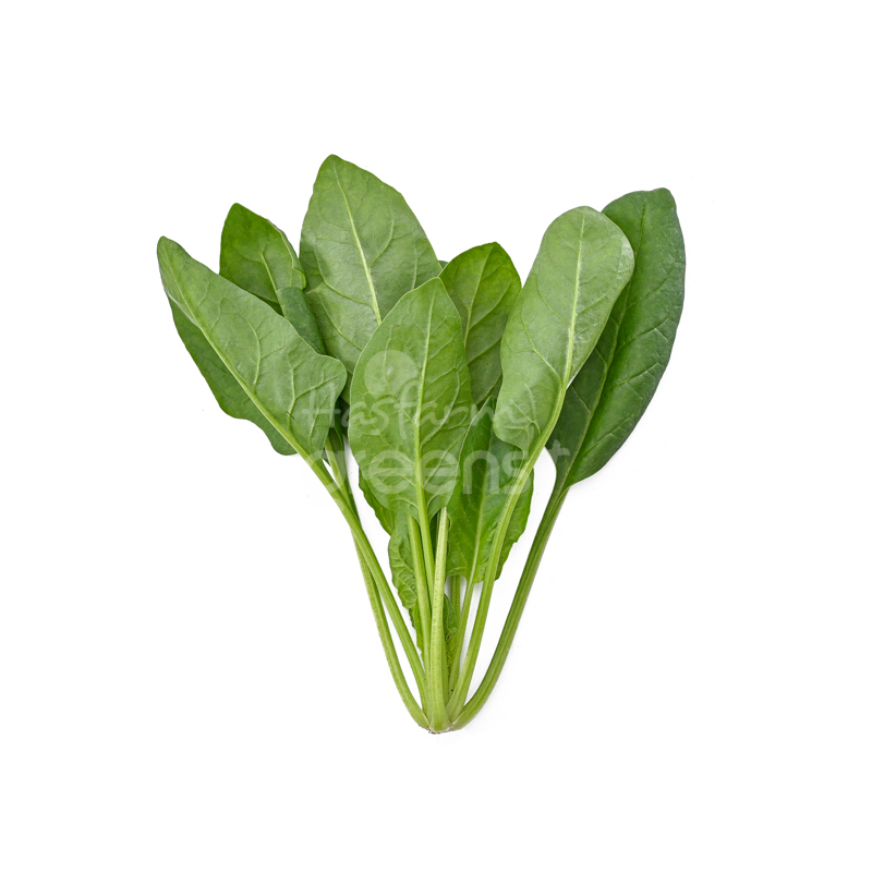 cây cải bó xôi - Image 5