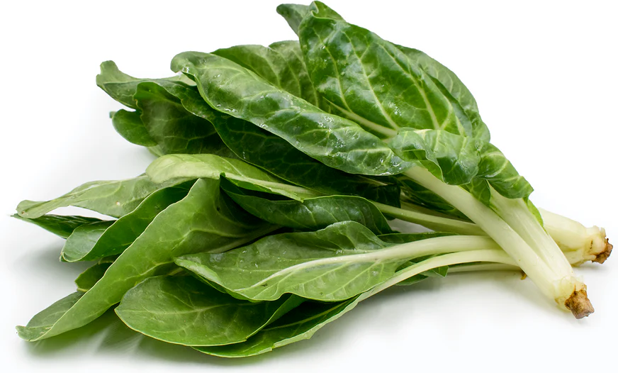 cây cải cầu vồng trắng - Image 4