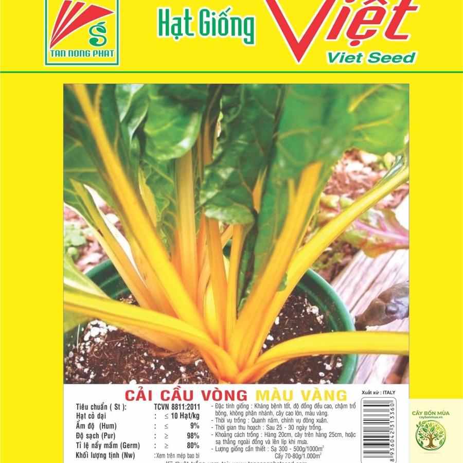cây cải cầu vồng vàng - Image 5