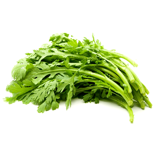 cây cải cúc - Image 2