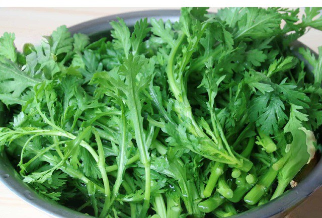 cây cải cúc - Image 4