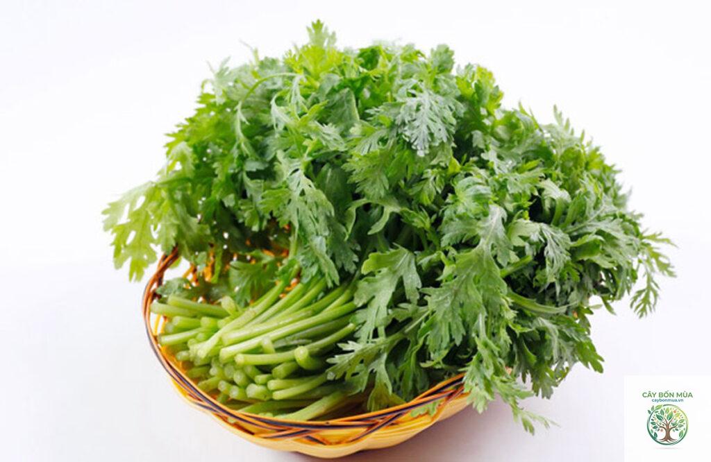 cây cải cúc Hàn Quốc