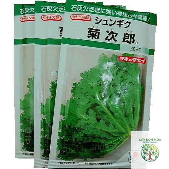 cây cải cúc Nhật - Image 5