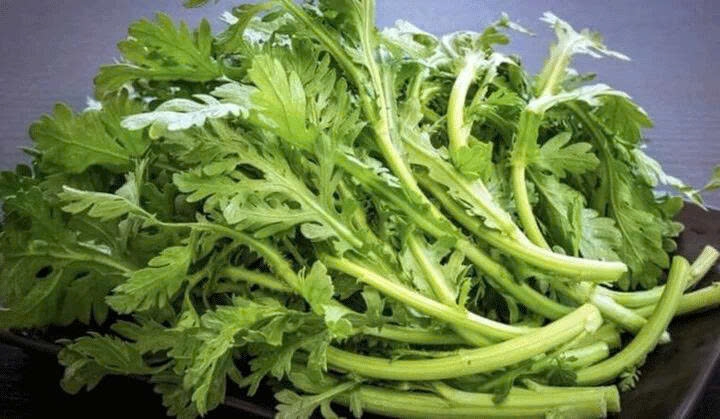 cây cải cúc