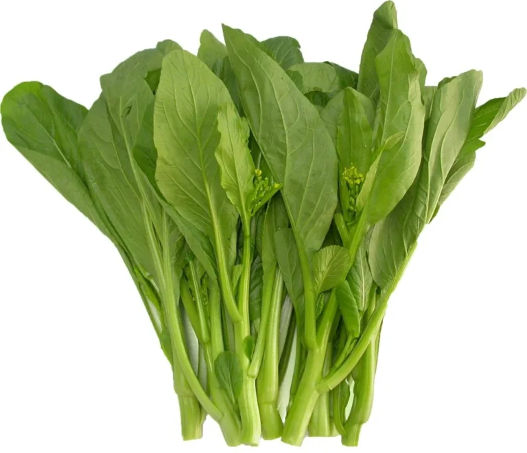 cây cải ngồng - Image 3