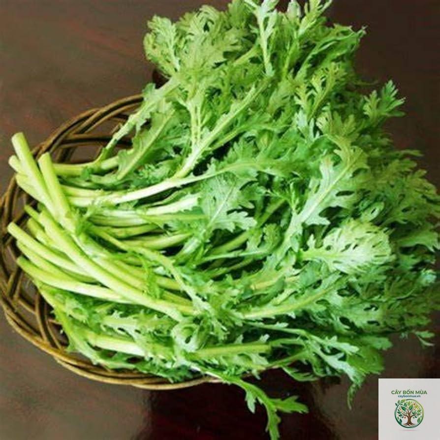 cây cải shungiku