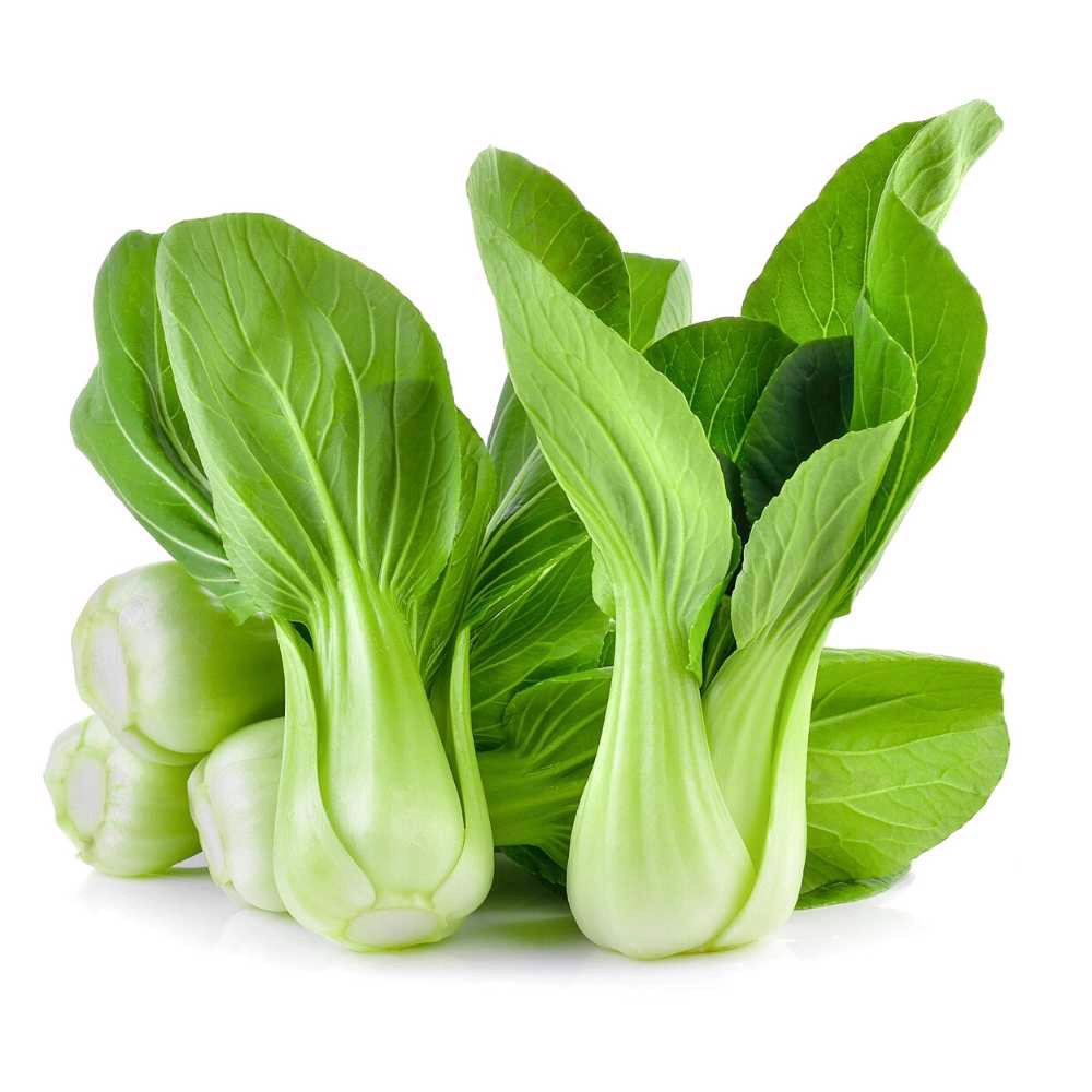 cây cải thìa - Image 2