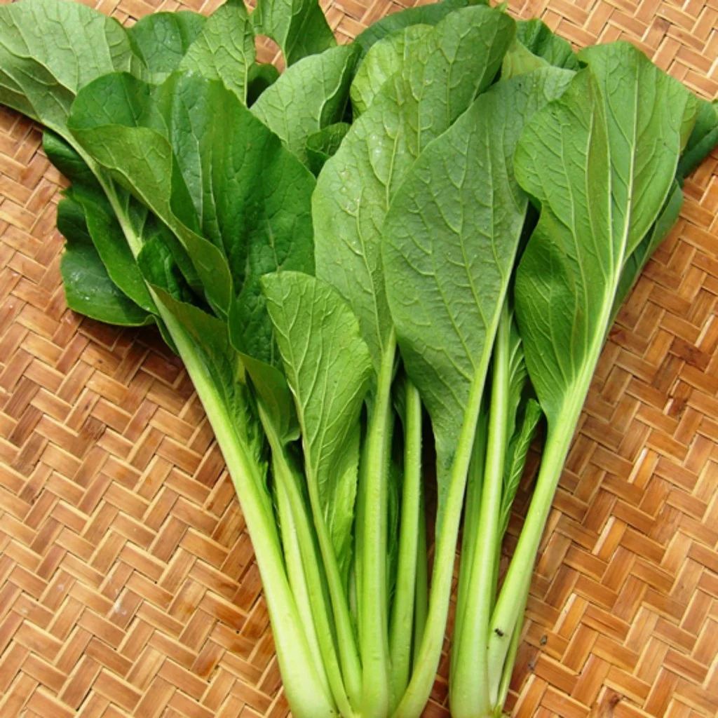 cây cải xanh - Image 5