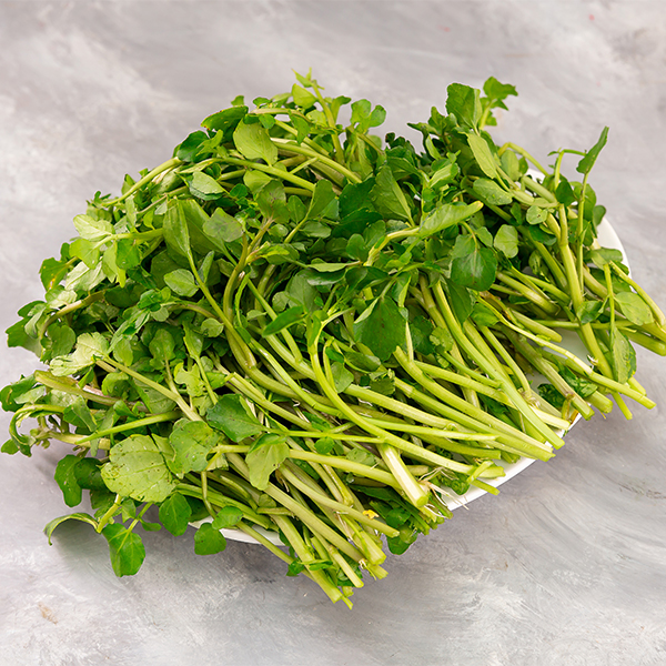 cây cải xoong - Image 4