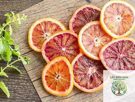 cây cam Blood Orange - Image 4
