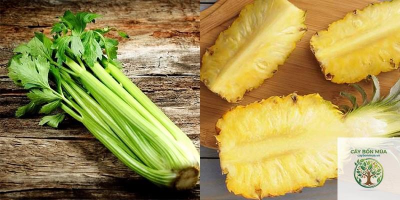 cây cần tây cọng vàng