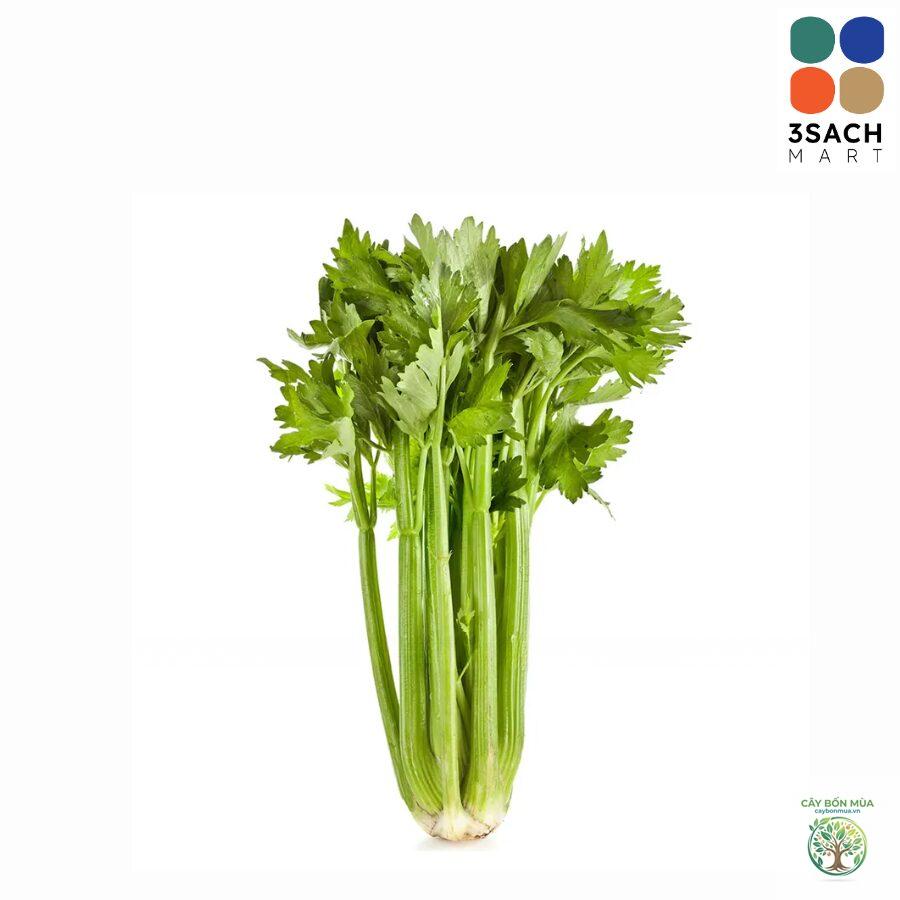 cây cần tây lá lớn - Image 1