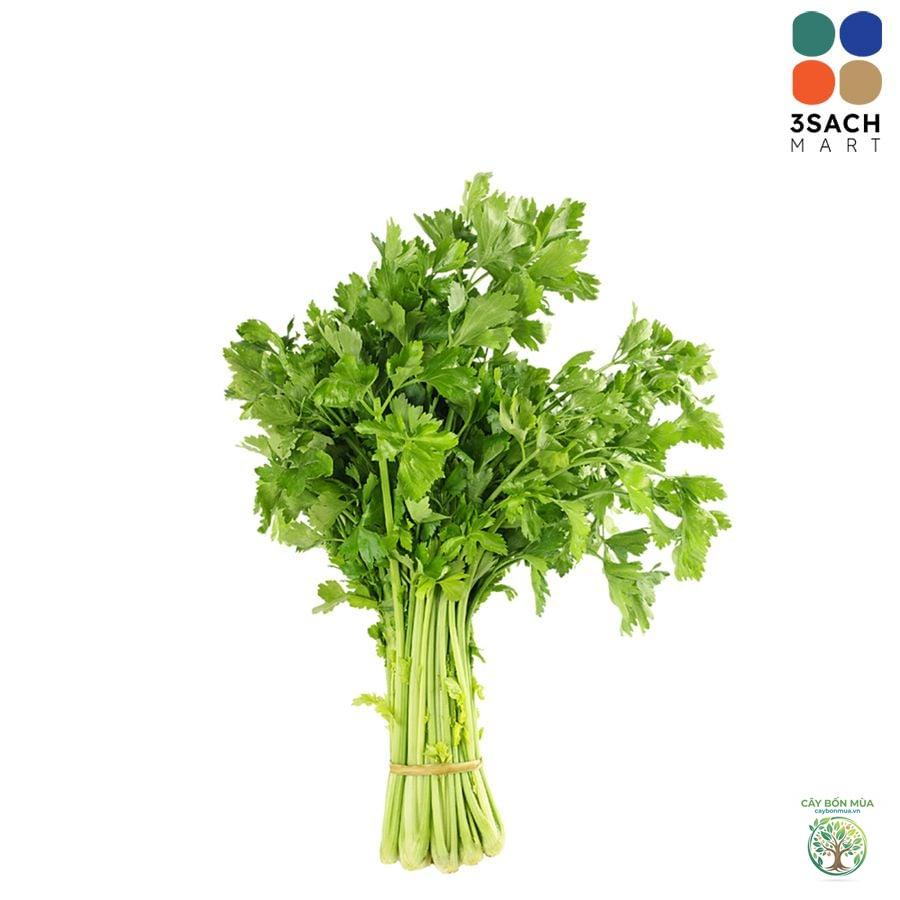 cây cần tây lá nhỏ