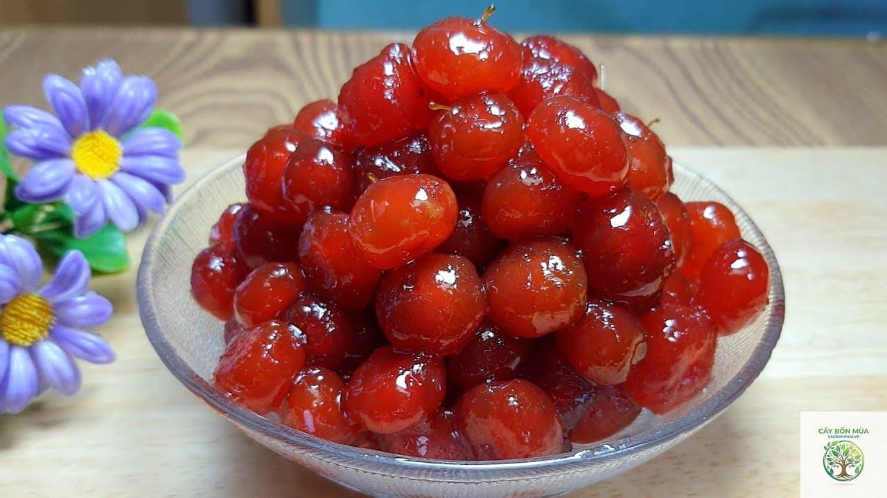 cây chùm ruột đỏ - Image 3