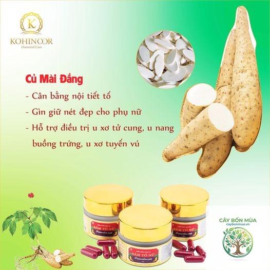 cây củ mài đắng - Image 4