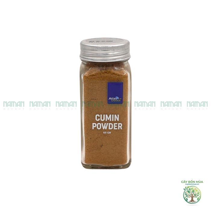 cây cumin Ai Cập - Image 4