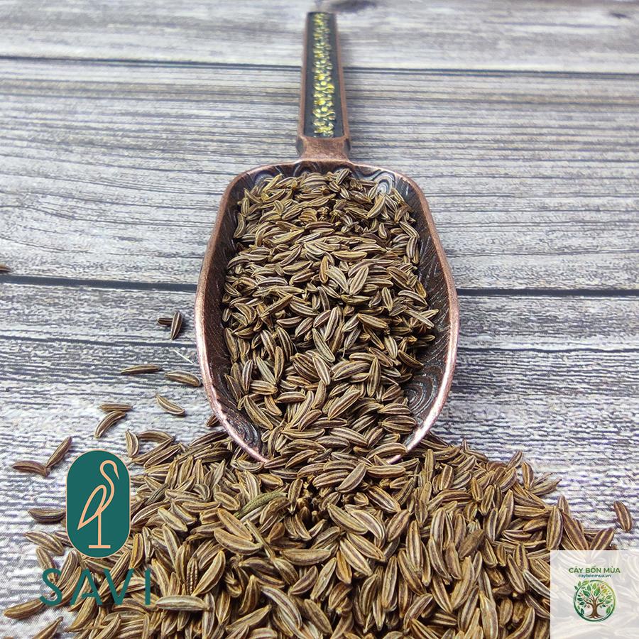 cây cumin Ba Tư - Image 4