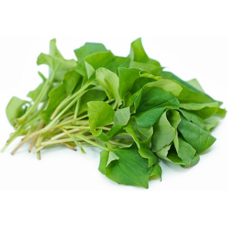 cây diếp cá - Image 4
