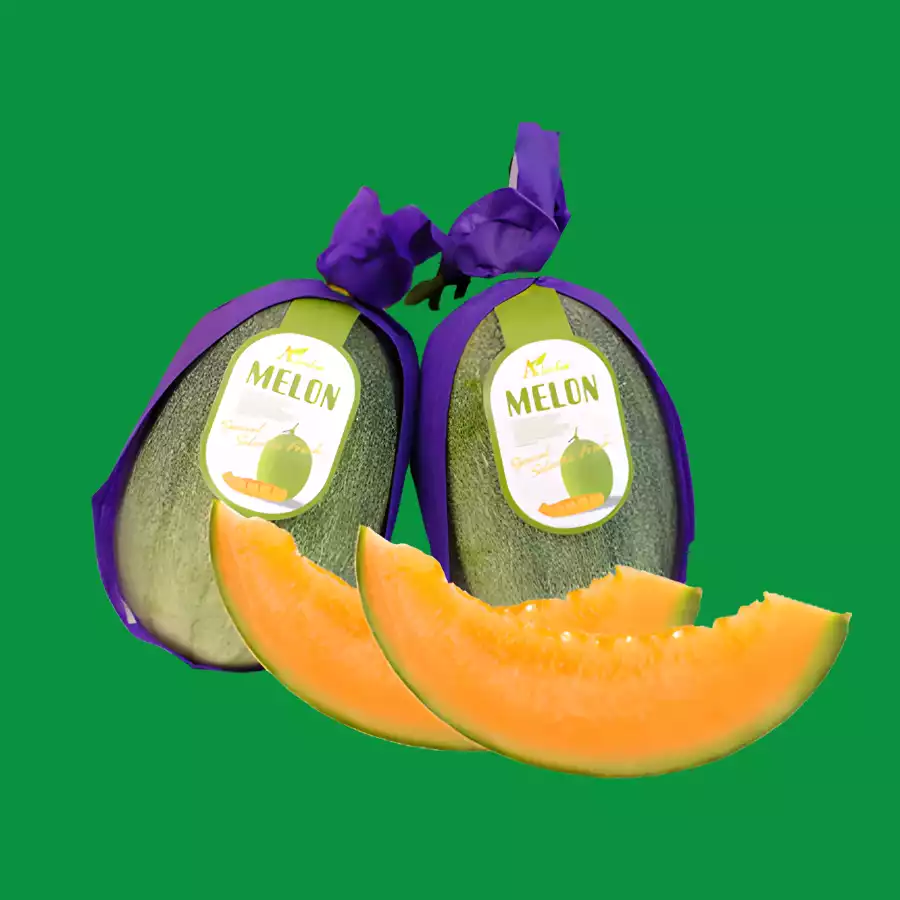 cây dưa lưới Đài Loan - Image 3