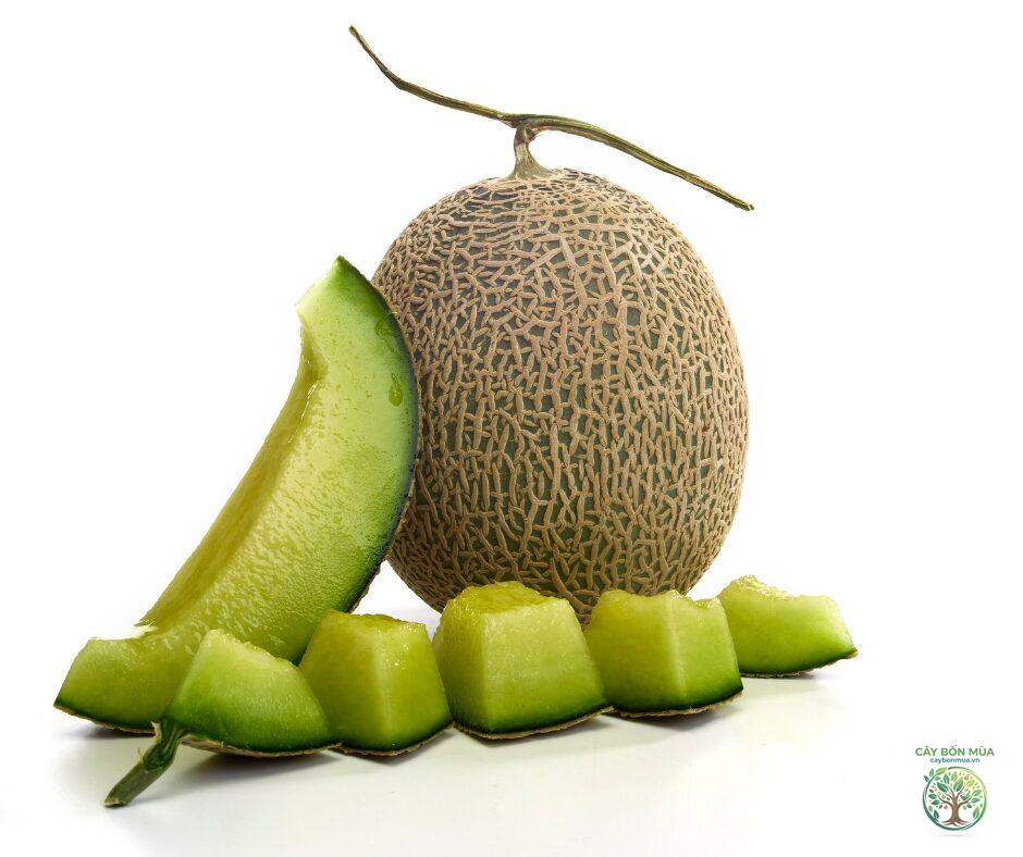 cây dưa lưới ruột xanh
