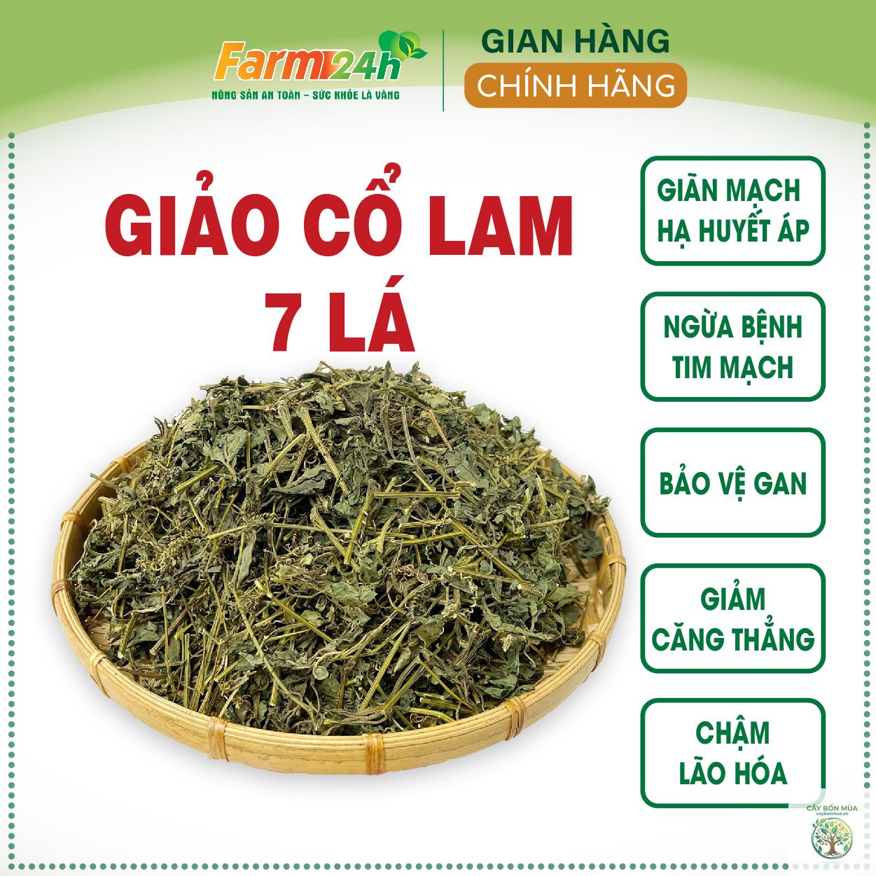 cây giảo cổ lam 7 lá - Image 2