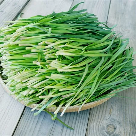 cây hẹ ta
