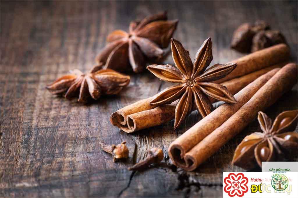 cây hồi hương Đức - Image 2