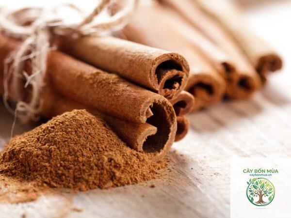 cây húng quế cinnamon - Image 5