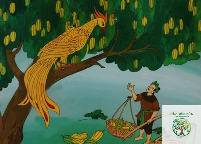 cây khế vàng