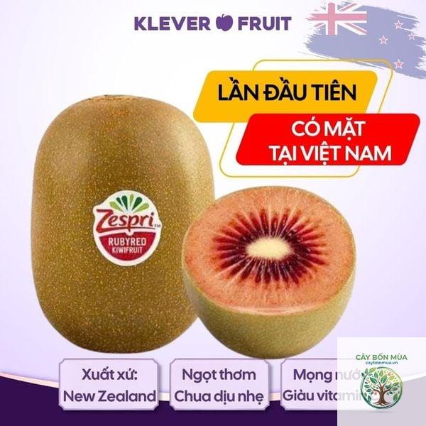 cây kiwi đỏ - Image 4