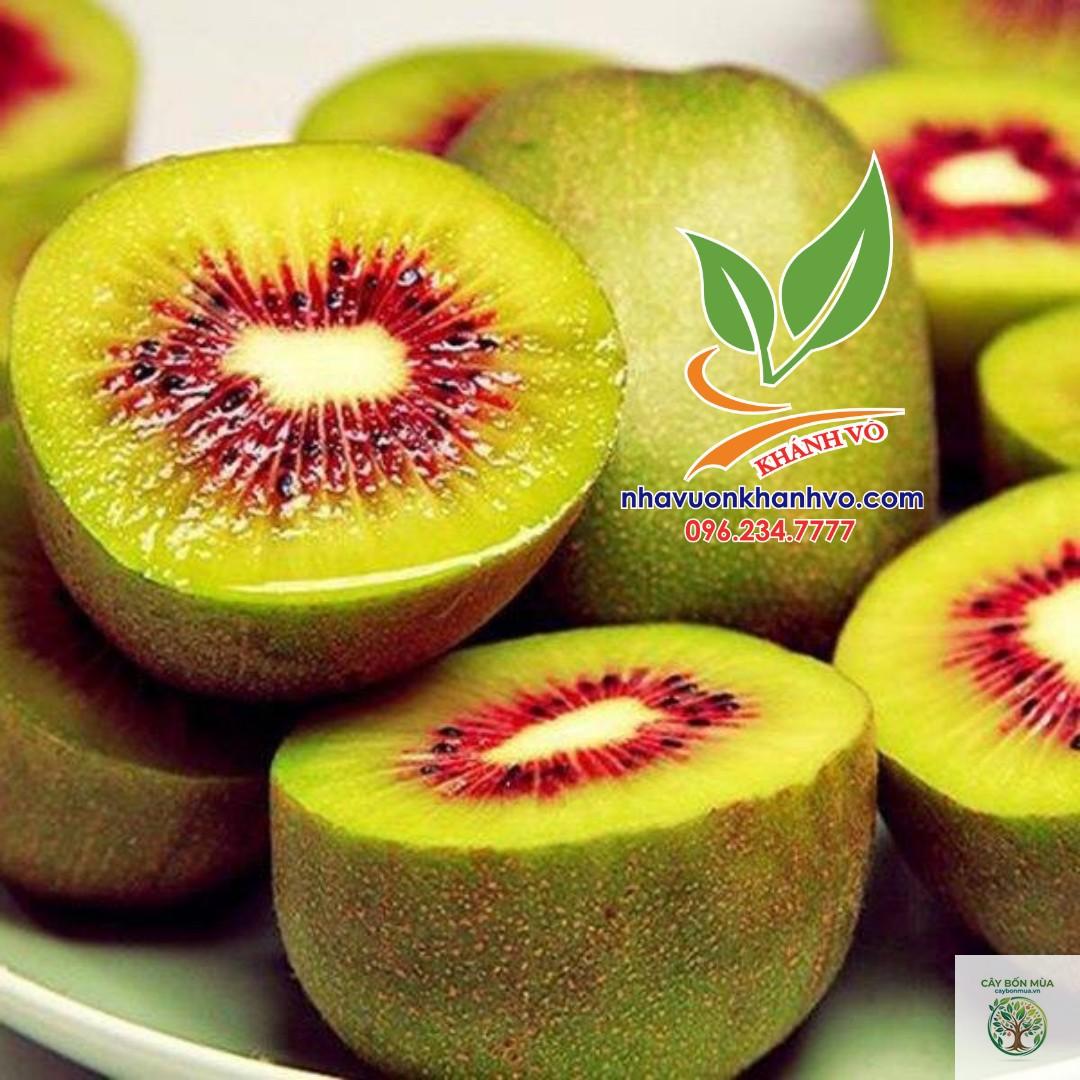 cây kiwi đỏ - Image 5