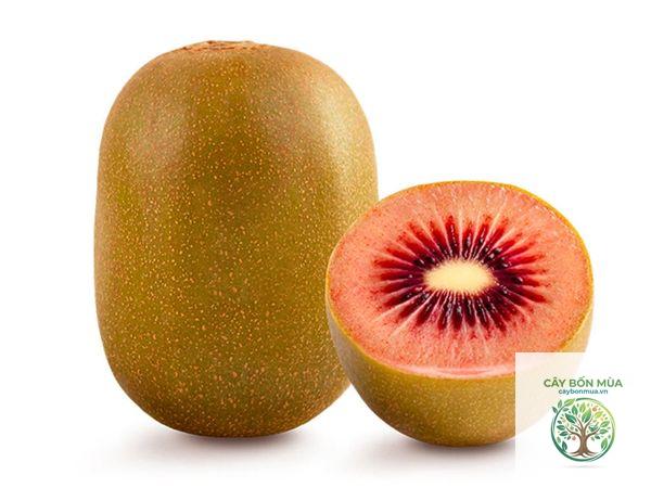 cây kiwi đỏ