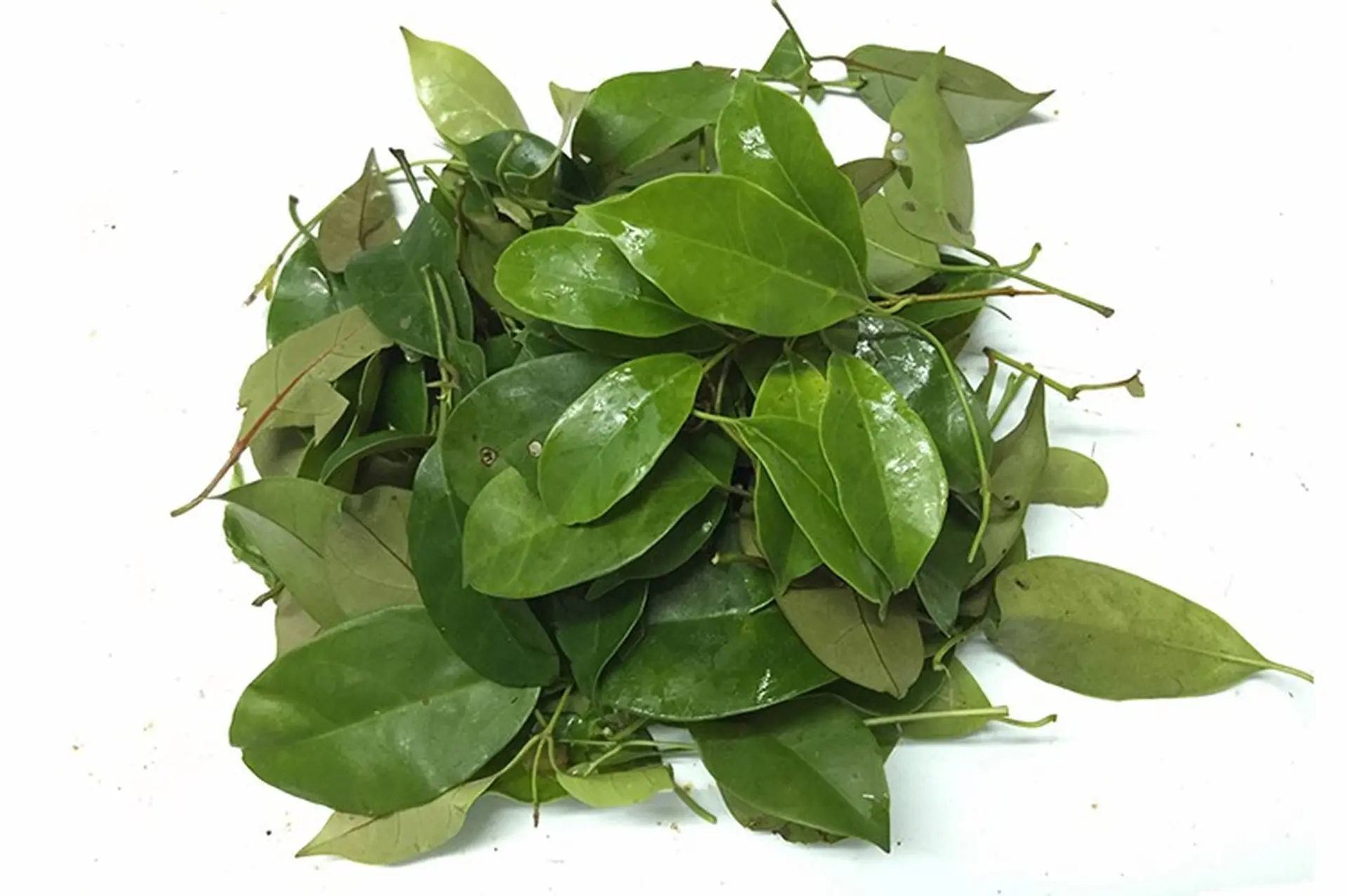 cây lá giang chua - Image 4