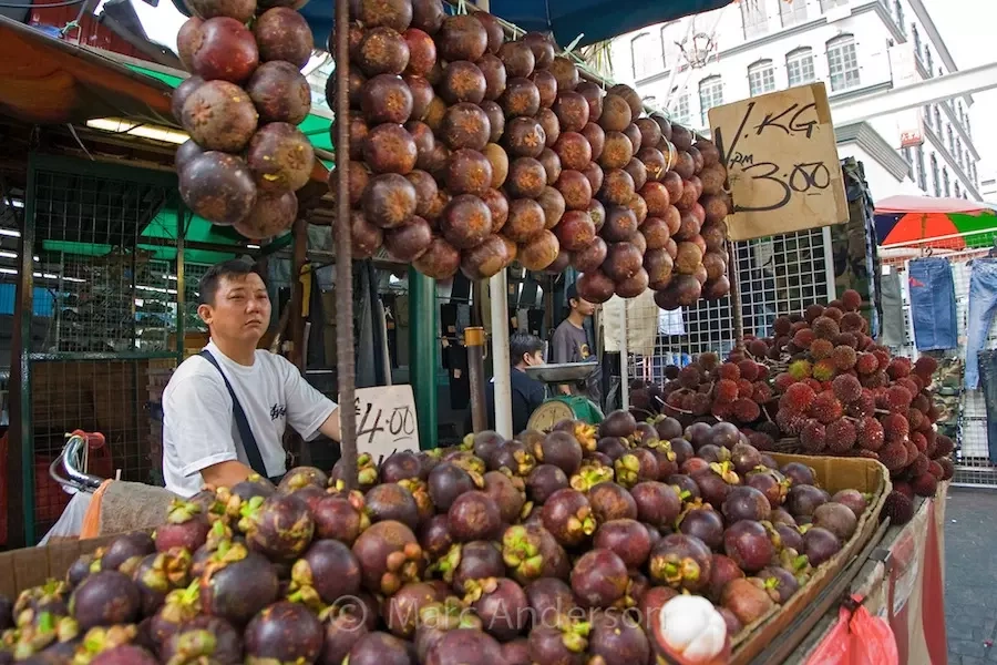 cây măng cụt Malaysia - Image 2