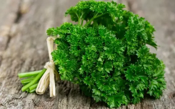 cây mùi tây - Image 3