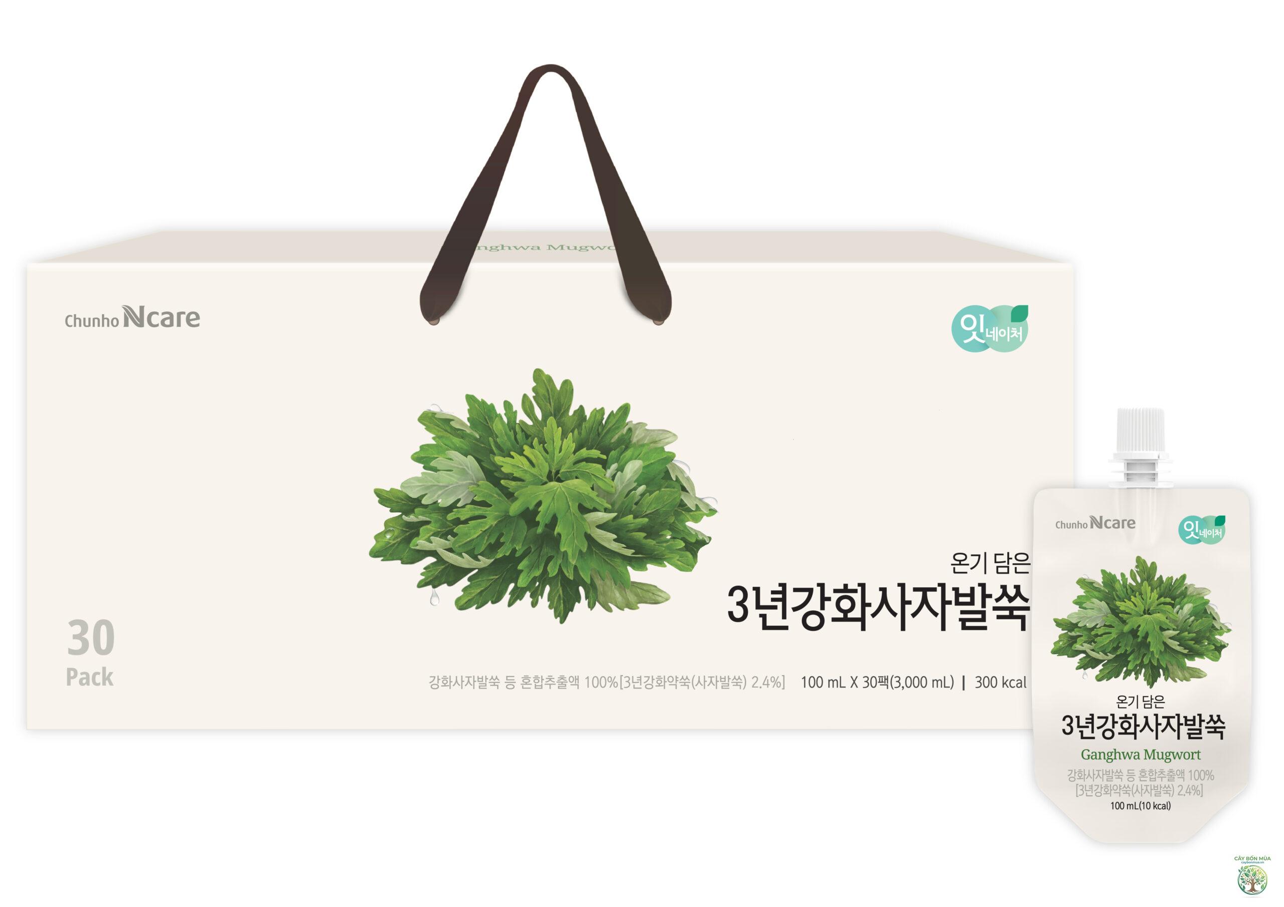 cây ngải cứu Hàn Quốc - Image 2