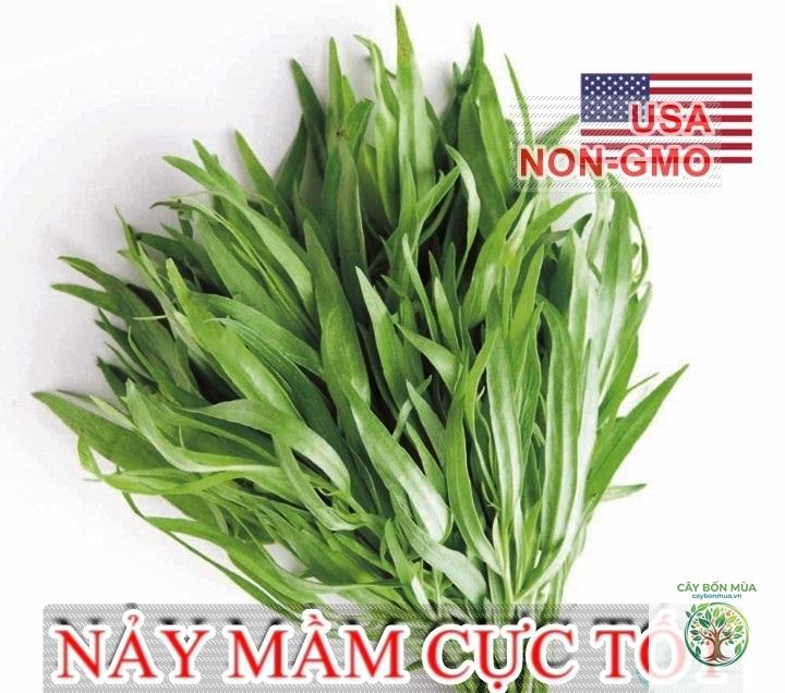 cây ngải giấm Nga - Image 1