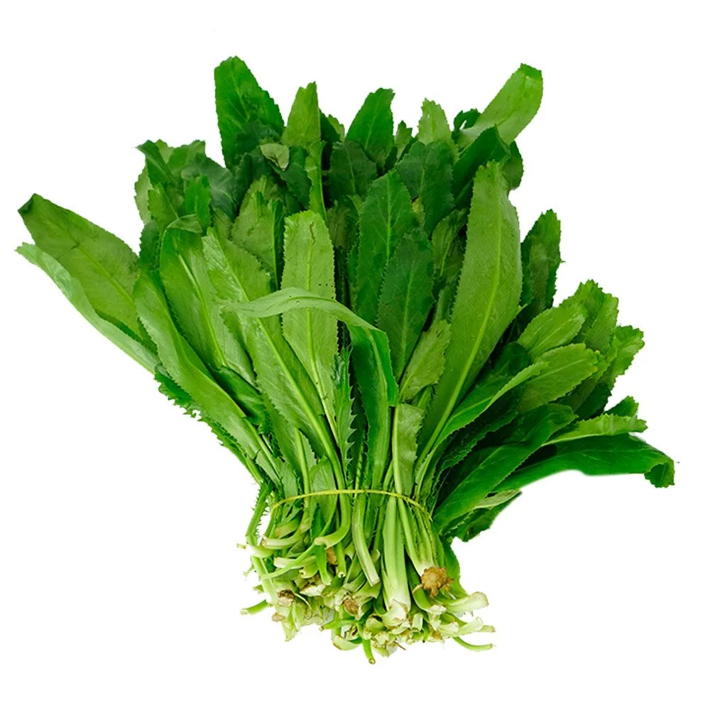 cây ngò gai Nam Mỹ - Image 2
