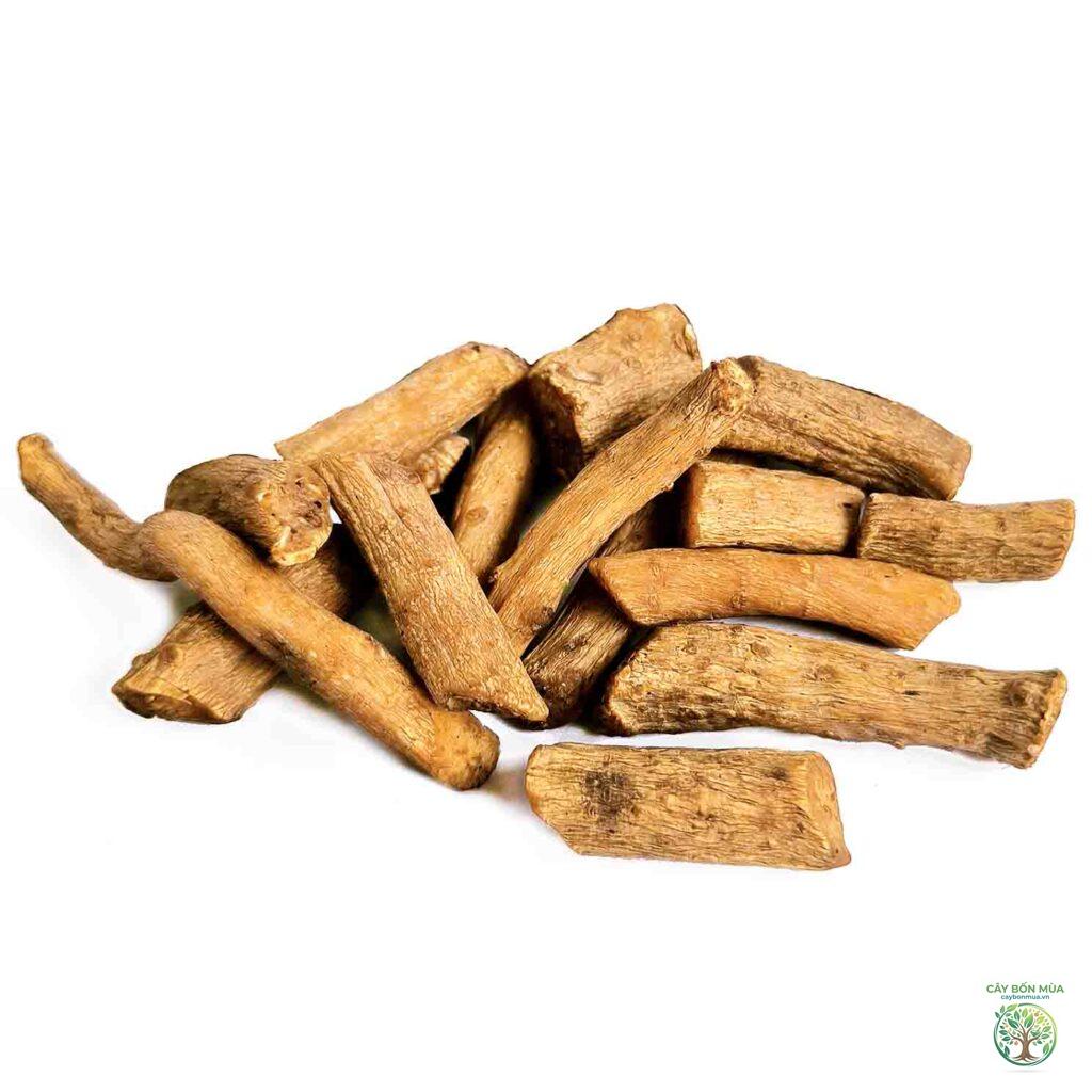 cây ngưu tất bắc