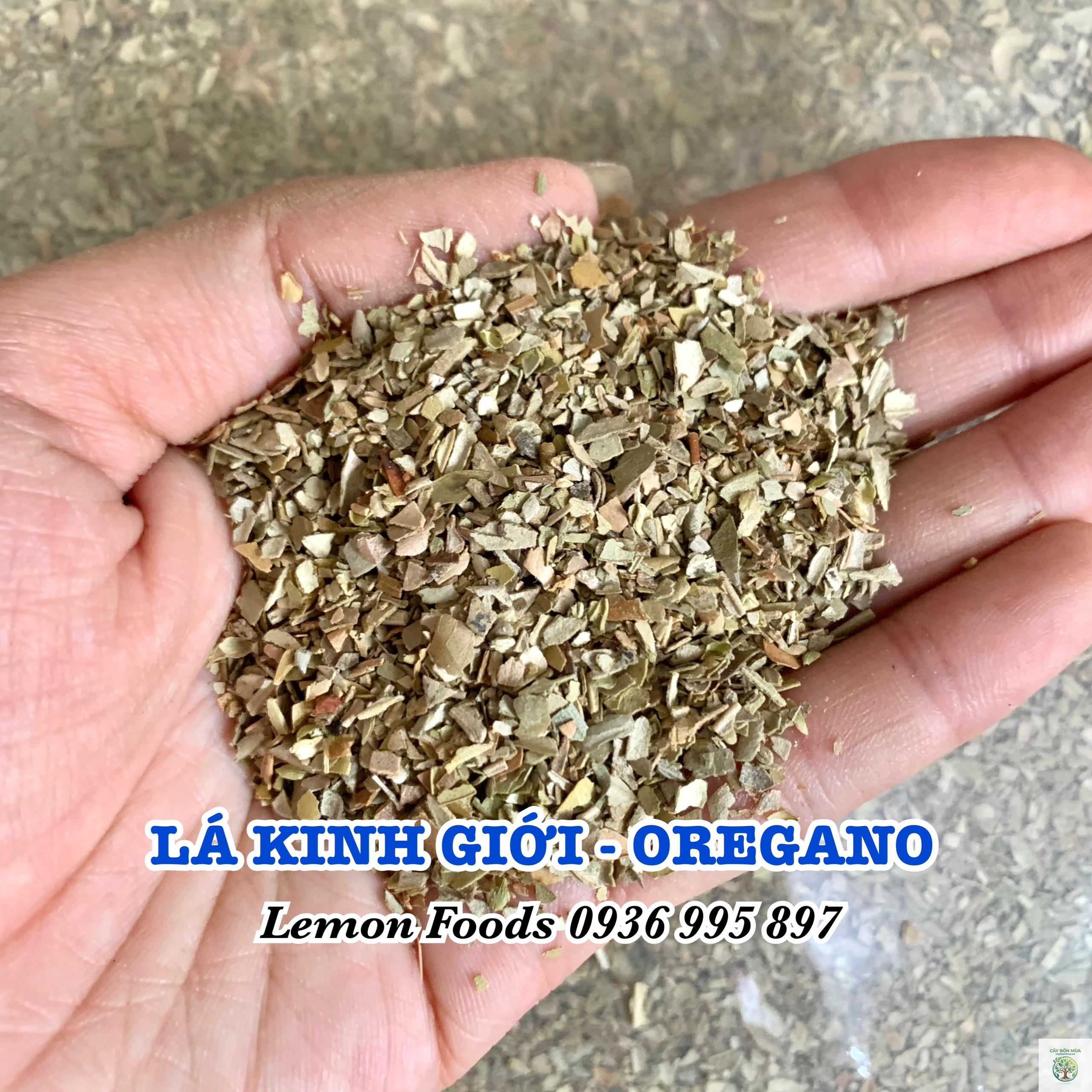 cây oregano Thổ Nhĩ Kỳ - Image 2