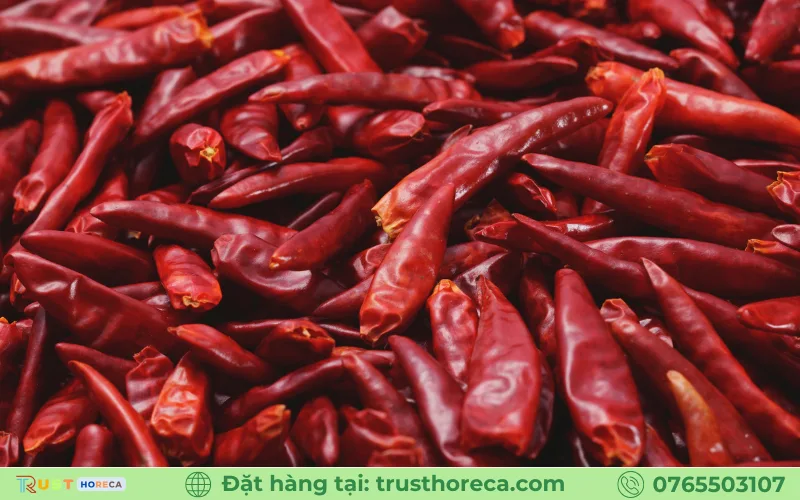 cây ớt Guajillo - Image 2