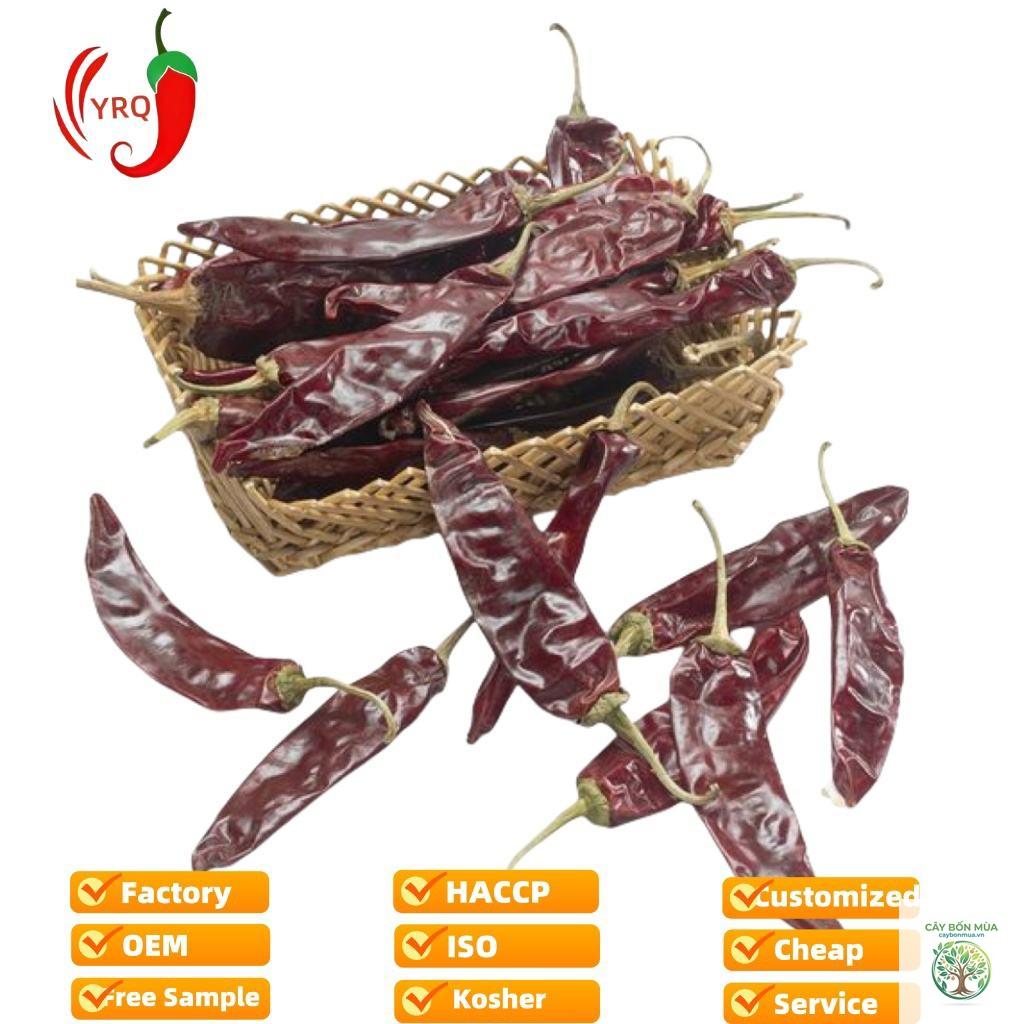 cây ớt Guajillo - Image 5